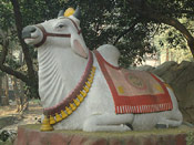 Nandini Sculpture