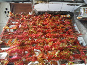 wish point at Kalkaji Temple