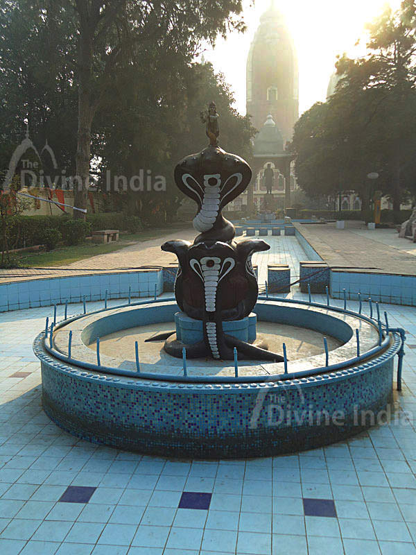 loard krishna on Kali snake