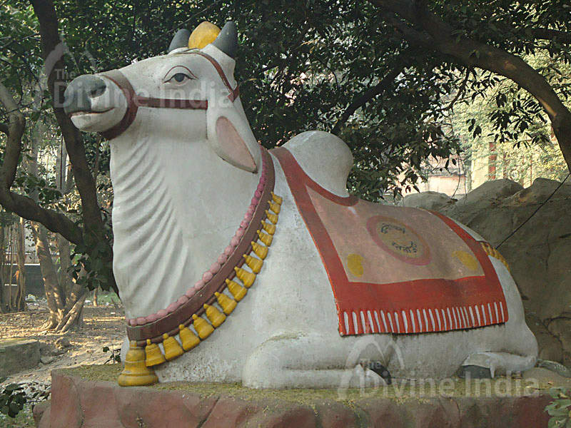 Nandini Sculpture