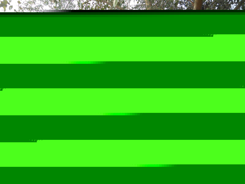 Ganesh Dawar, Jhandewalan Temple, New Delhi