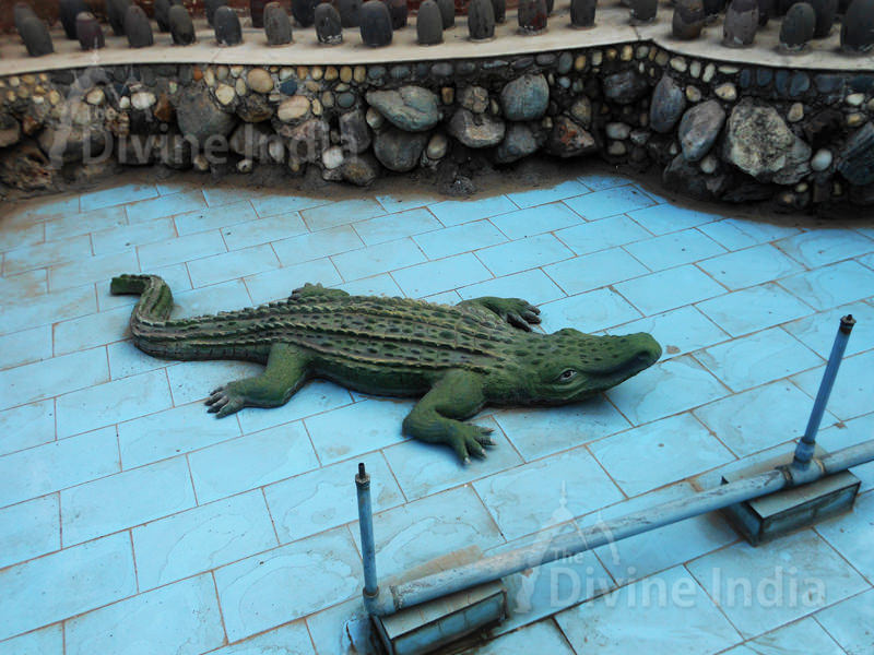 Alligator Sculpture in fountain at Moksha Dham Temple