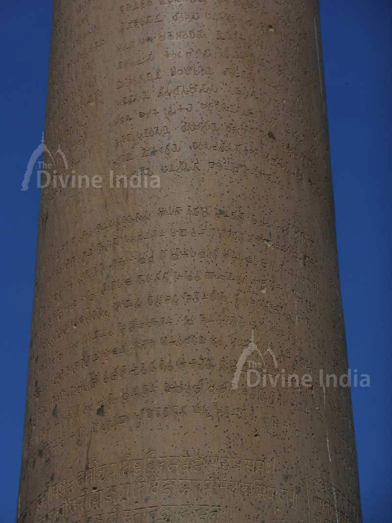 Ashoka Pillar in Feroz Shah Kotla Fort