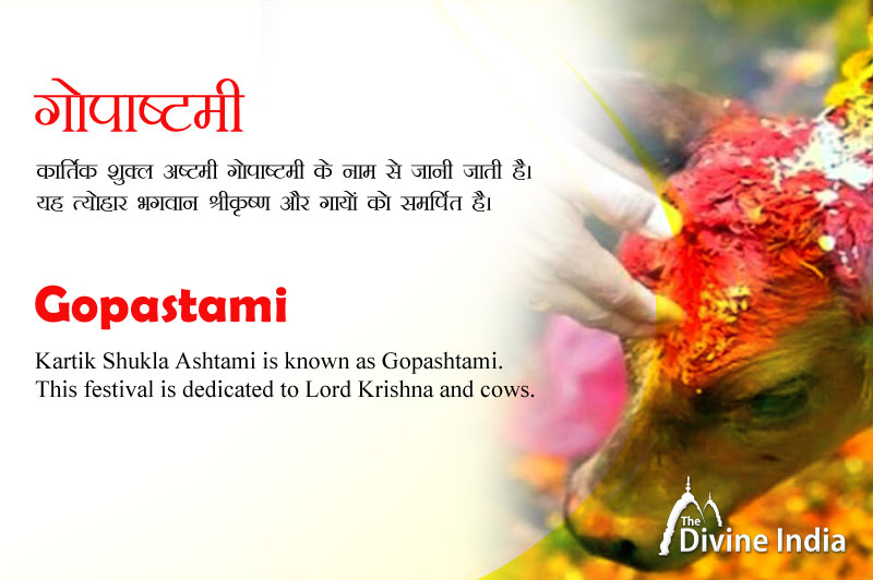 Why celebrate Gopashtami | When is Gopashtami in 2023 | Puja | Date | How  to do Gopashtami?