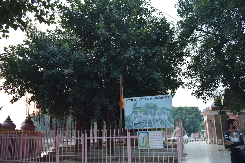 The holy Banyan Tree, which is supposed to have witnessed Krishna delivering the sermon of Bhagavad Gita
