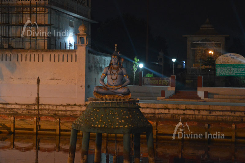 Lord Shiva Sculpture mid of Kund