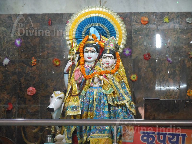 Lord Shiva Idol at Shiv Mandir Gufawala-preet vihar
