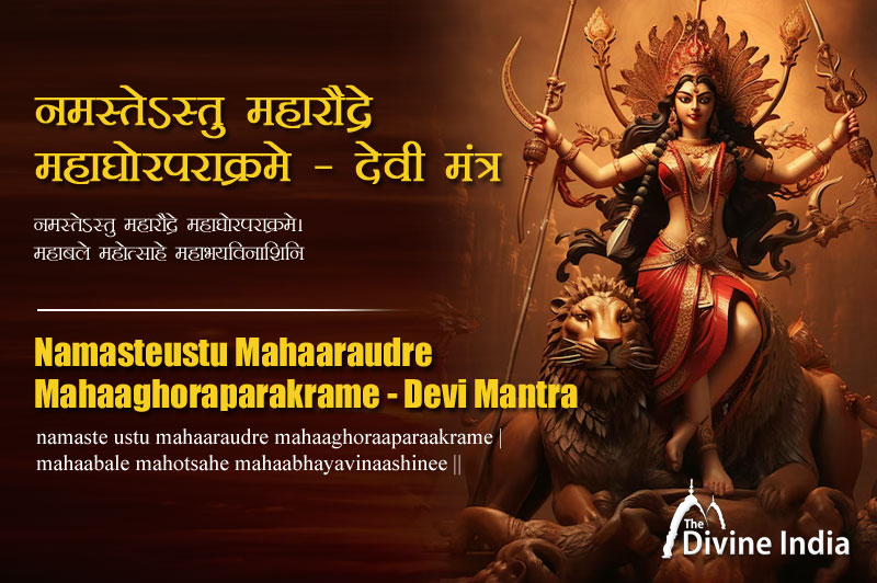 नमस्तेऽस्तु महारौद्रे महाघोरपराक्रमे - देवी मंत्र