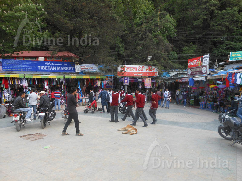 Nainital Market