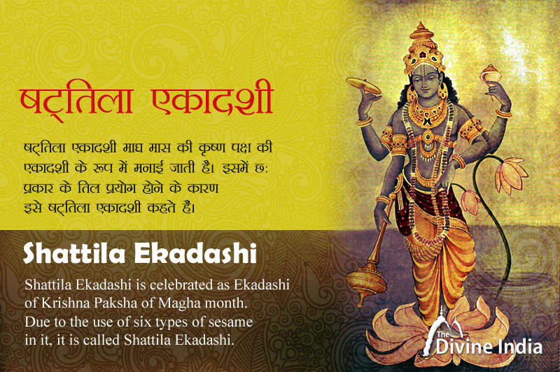 2024 main Shattila Ekadashi kab hai? Shattila Ekadashi 2024 Worship