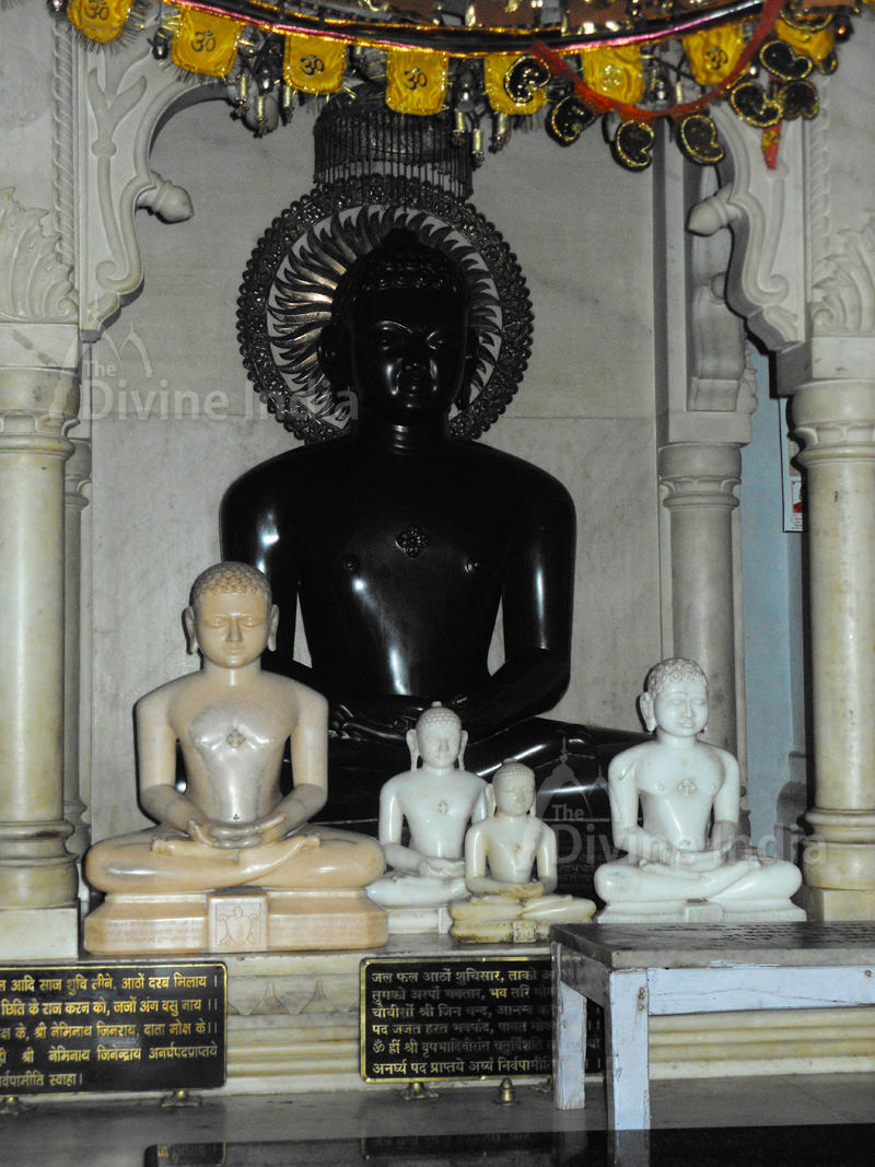 Idol of Neminath Swami at Digambar Jain Temple Shouripur