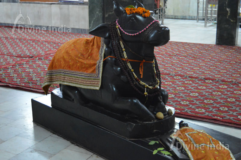 Idol of Shri Nandi Idol at Shri Laxmi Narayan baikunth dham Mandir
