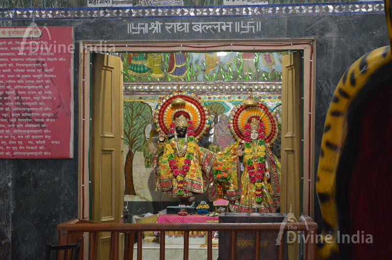 Ido of Shri Radha Ballabh ji at Shri Laxmi Narayan baikunth dham Mandir