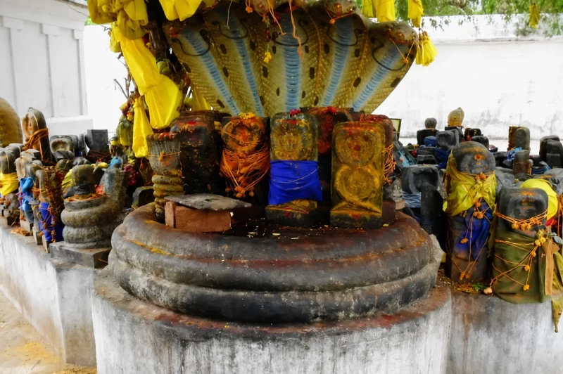 Sri Seshapureeswarar Temple: Where King Sesha Worshipped Mahadeva and Sarpa Dosha is Dissolved