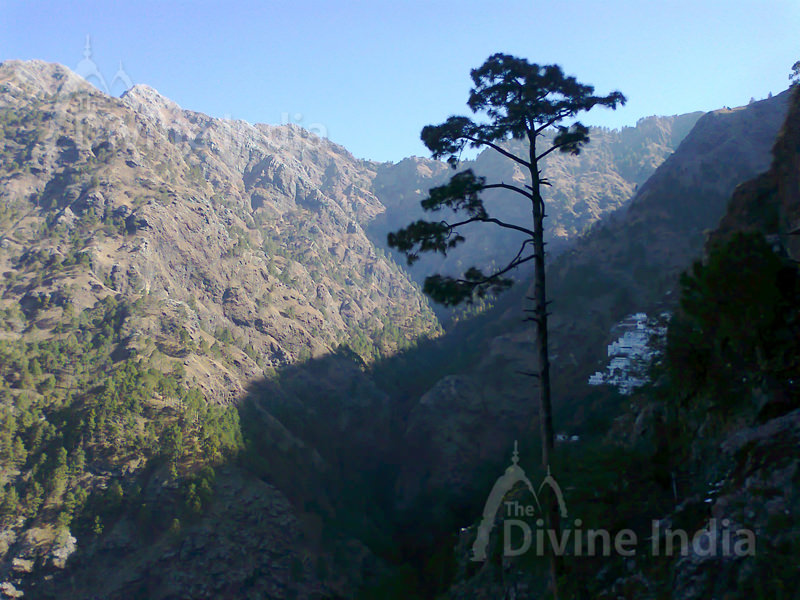 Top View of Vaishno Devi