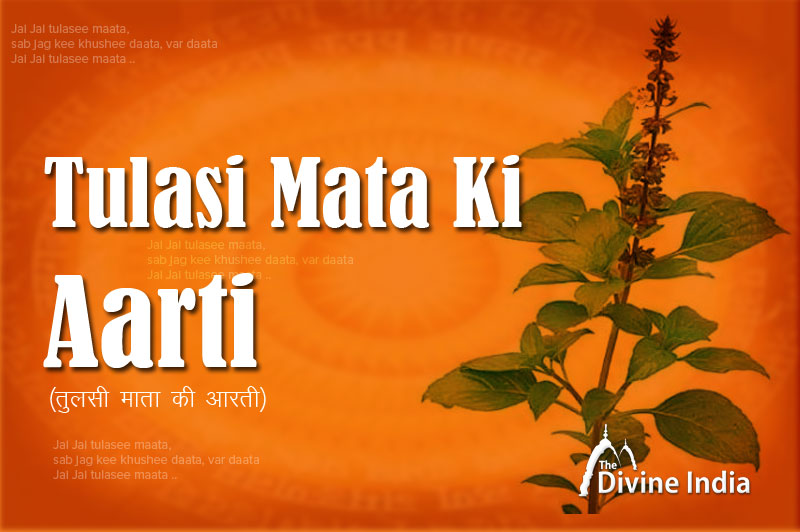 Tulsi Mata Aarti Tulsi Mata Aarti