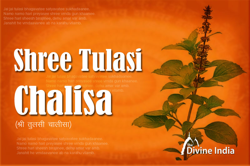 Tulasi Mata Chalisa Tulasi Mata Chalisa