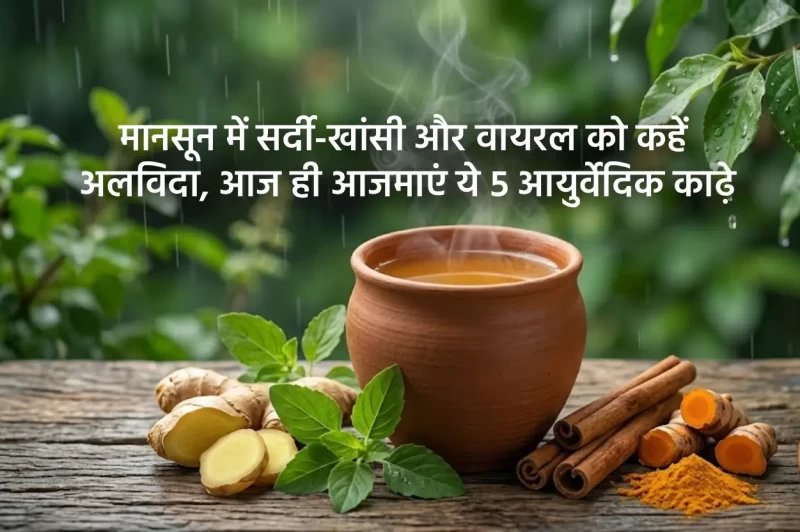 वैदिक हर्बल चाय: मानसून में सर्दी-खांसी और वायरल को कहें अलविदा, आज ही आजमाएं ये 5 आयुर्वेदिक काढ़े