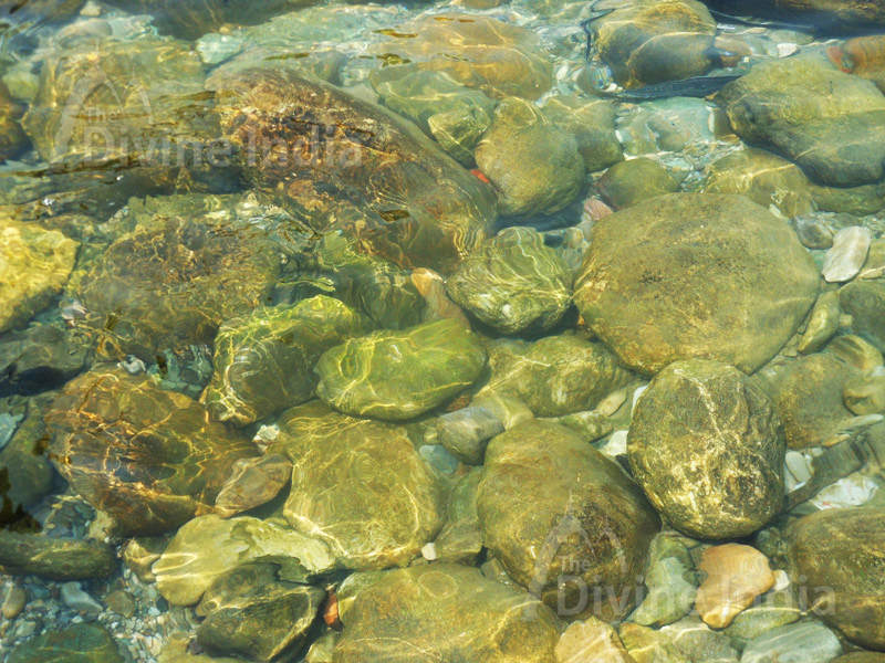 Clean Water of Kois River at Girija Devi Temple