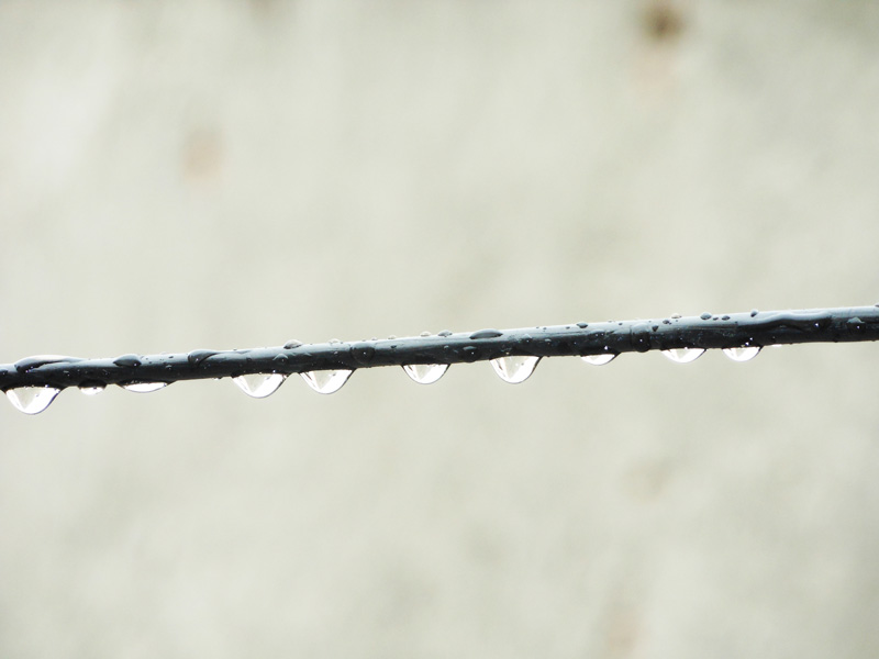 Water drop on wire
