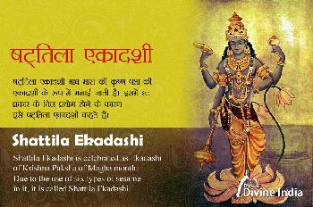 Shattila Ekadashi 2026