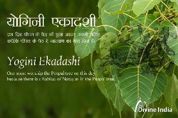 Yogini Ekadashi 2026 Yogini Ekadashi 2026
