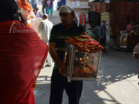 Blaze of light from the jwala ji temple to carrying home a devotee