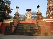Entrance Gate in Vatika Temple