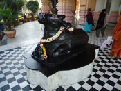 Nandi, Shiva Gauri Nageshwar Mandir, Chattarpur Temple