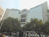 DLF Building