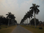 Inside road , Purana Qila 