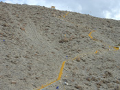 Other view Path leading to Gurdwara complex