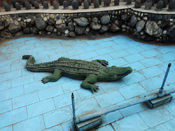Alligator Sculpture in fountain at Moksha Dham Temple