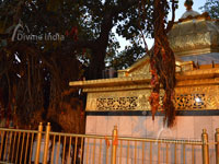 Back side view of chintpurni temple