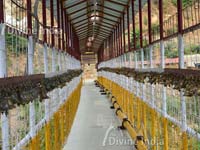 Beautiful way for dhari devi temple with handing bell