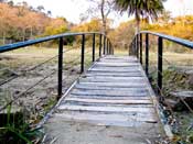 Beautiful Wooden Bridge