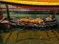 बूढ़ानीलकंठ मंदिर: नेपाल के पानी पर तैरते भगवान विष्णु का अद्भुत रहस्य