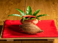 Chaitra Navratri 2026: Bring Home These 10 Essential Items for Kalash Sthapana Today