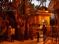 Side view of Chintpuri temple 