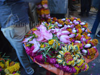 Flower Seller at Shri Bankey Bihari Temple - Vrindavan