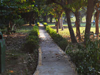 Foot Track at Nehru Park