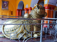 Nandi idol at Ranbireshwar Temple and The idol of nandi is made of brass and weighs around 1000 kg