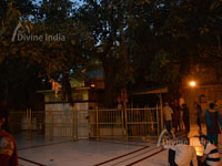 Other back side view of chintpurin temple
