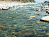 Other View of Kosi River at Girija Devi Temple