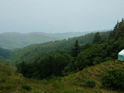 Ranikhet Hill Station