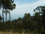 Ranikhet Hill Station