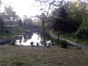 Ranikhet Jheel at Ranikhet