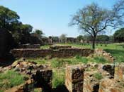 Ruins Palace in Feroz Shah Kotla Fort