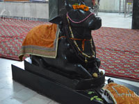 Idol of Shri Nandi Idol at Shri Laxmi Narayan baikunth dham Mandir