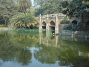 Lake at Lodi Garden